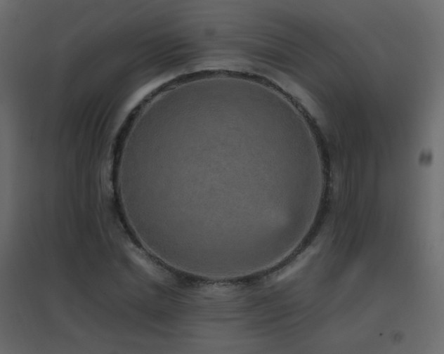 X0000096650830200802051153