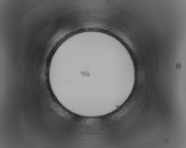 X0000096650832200802051153