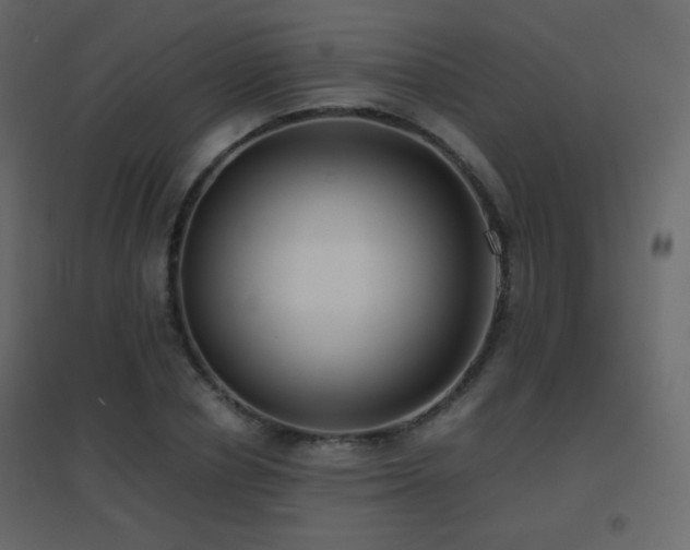 X0000096650834200802051153