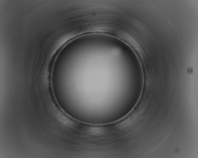 X0000096650835200802051153