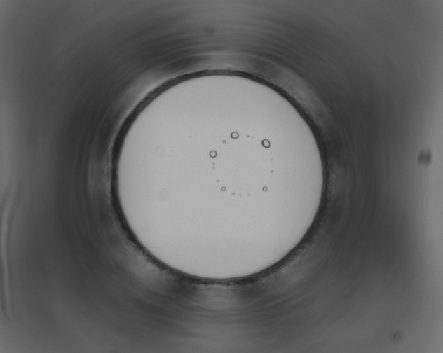 X0000096650836200802051153