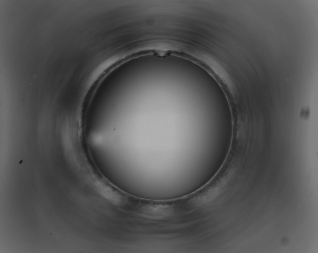 X0000096650837200802051153