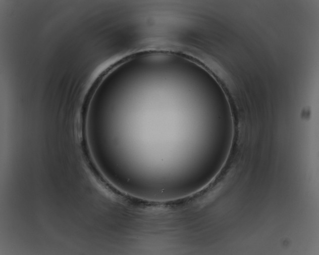 X0000096650838200802051153