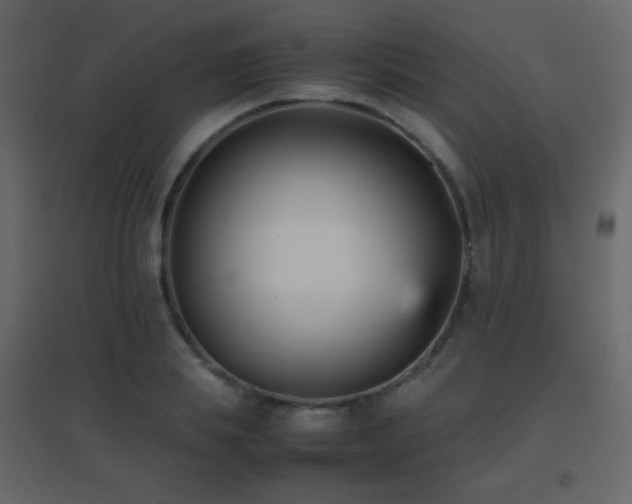X0000096650839200802051153