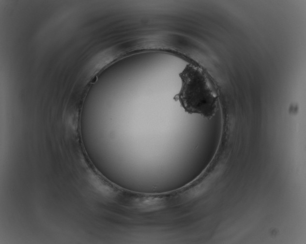 X0000096650841200802051153