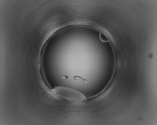 X0000096650844200802051153