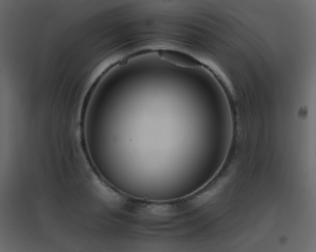 X0000096650845200802051153