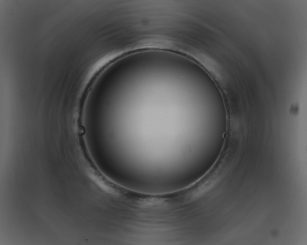 X0000096650846200802051153