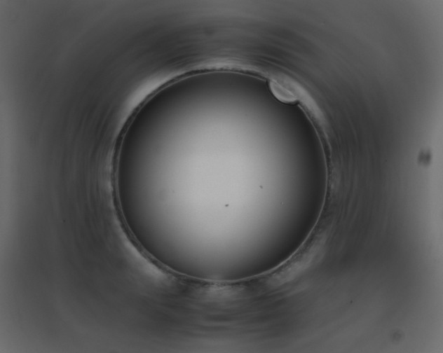 X0000096650847200802051153