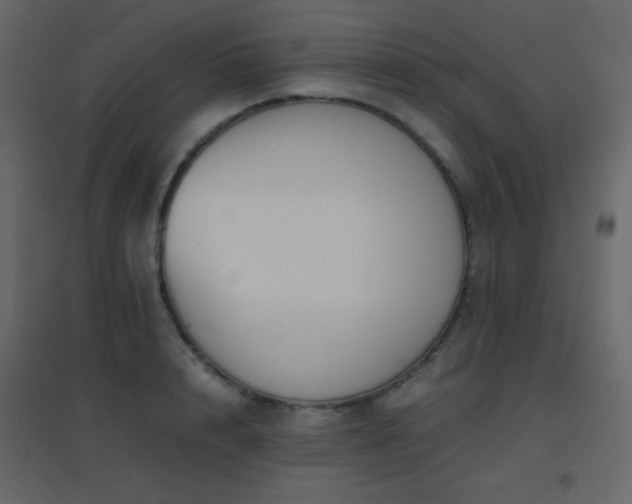X0000096650848200802051153