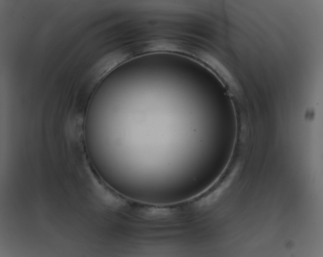X0000096650849200802051153