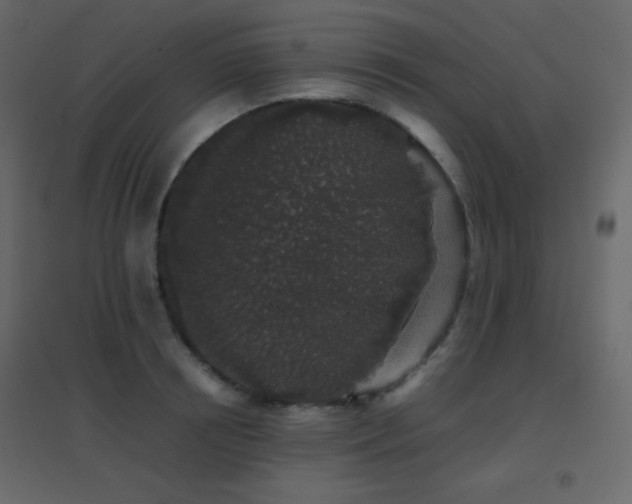 X0000096650850200802051153