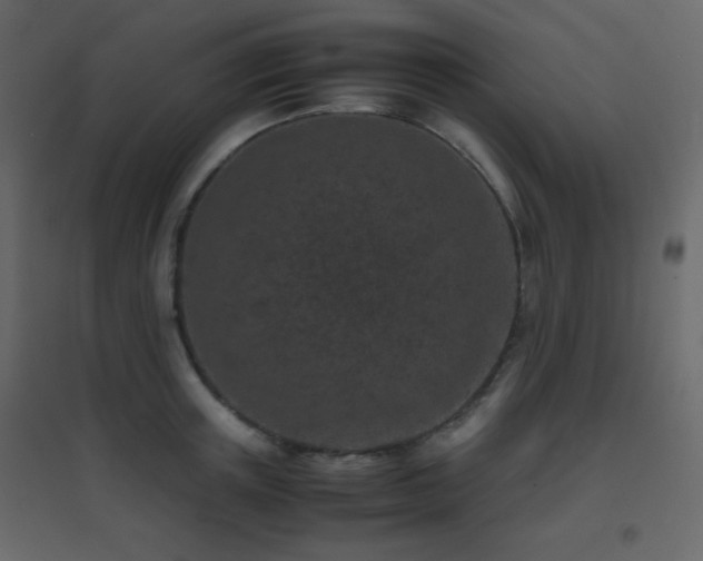 X0000096650851200802051153