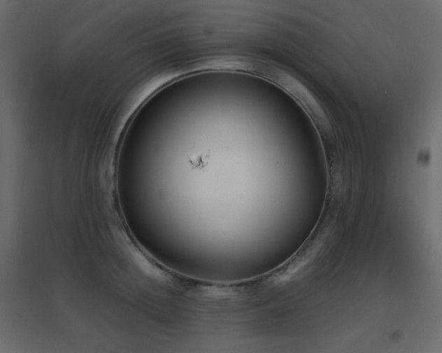 X0000096650852200802051153
