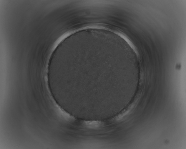 X0000096650853200802051153
