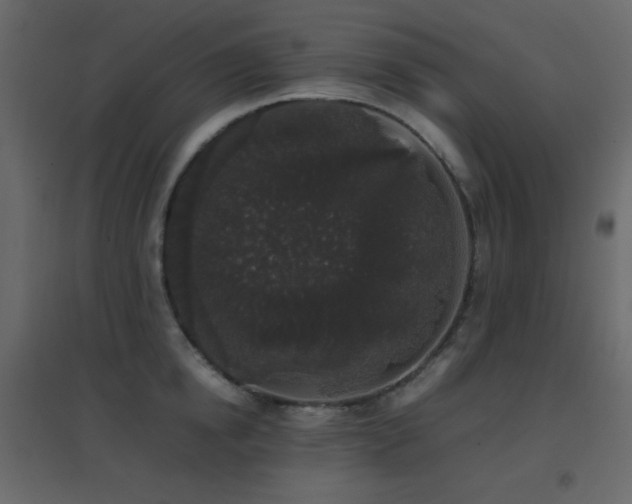 X0000096650854200802051153
