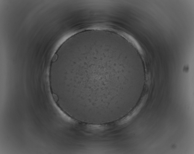 X0000096650855200802051153