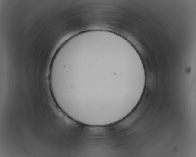 X0000096650856200802051153
