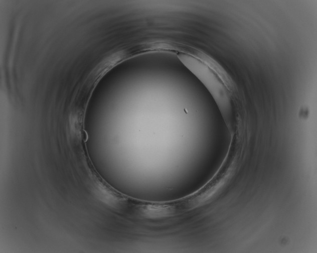 X0000096650857200802051153