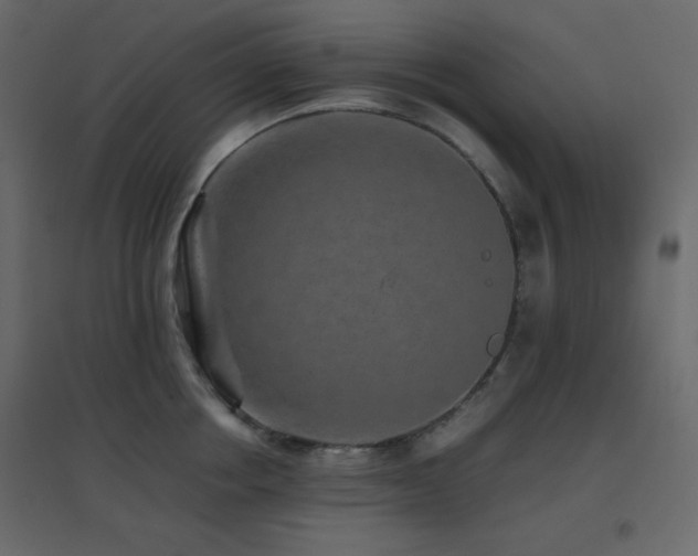 X0000096650858200802051153