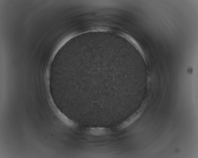 X0000096650859200802051153