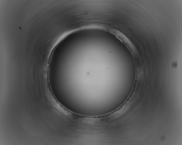 X0000096650860200802051153