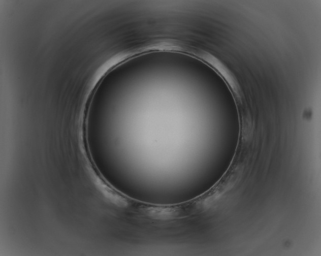 X0000096650861200802051153