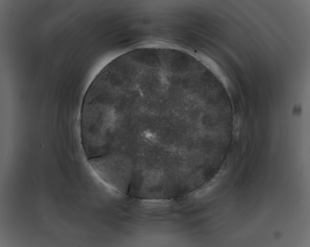 X0000096650863200802051153