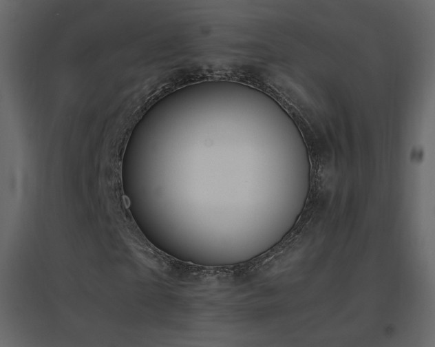X0000096650865200802051152