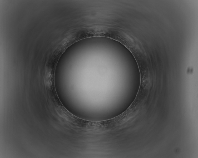 X0000096650866200802051152
