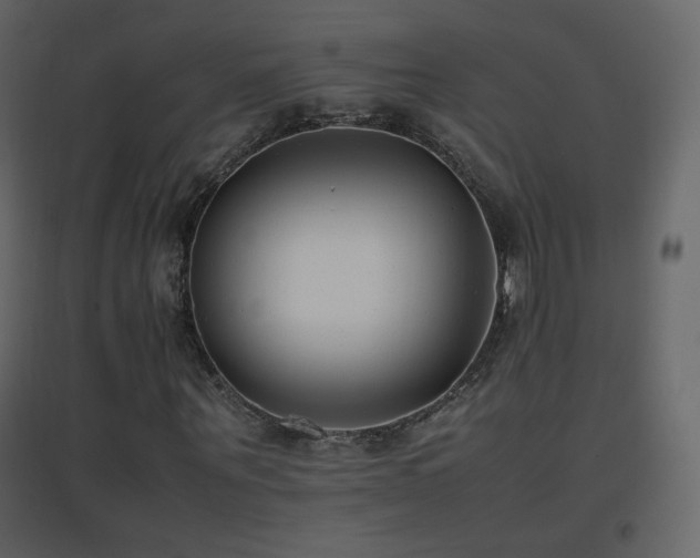 X0000096650867200802051152