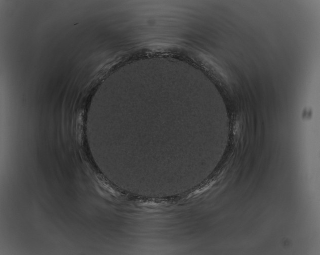 X0000096650868200802051152