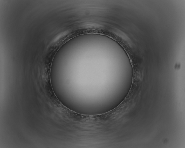 X0000096650869200802051152