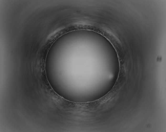 X0000096650870200802051152