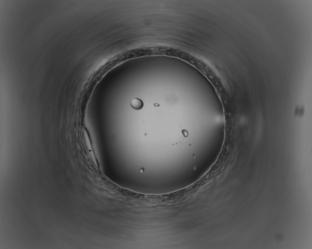X0000096650871200802051152