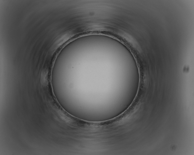 X0000096650873200802051152