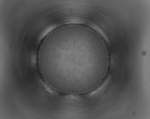 X0000096650874200802051152