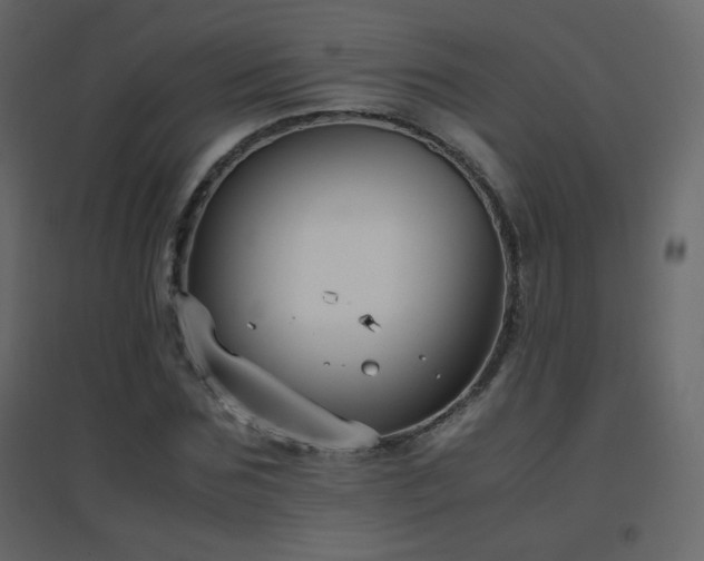 X0000096650875200802051152