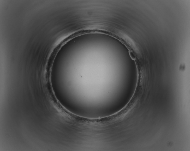X0000096650876200802051152