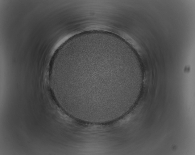 X0000096650877200802051152