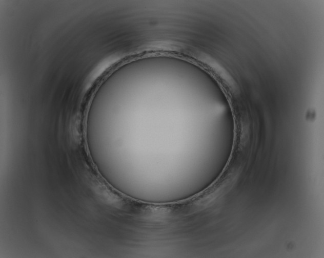 X0000096650878200802051152
