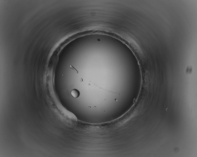 X0000096650880200802051152