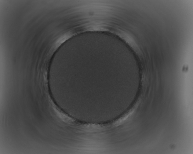 X0000096650881200802051152