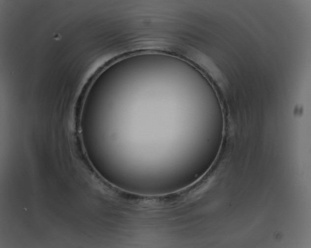 X0000096650883200802051152