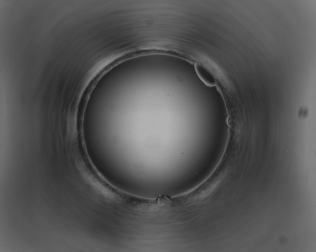 X0000096650884200802051152