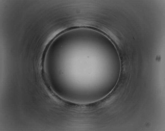 X0000096650885200802051152