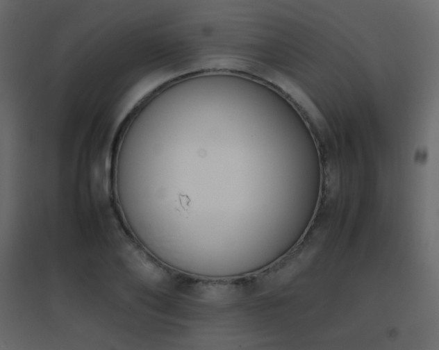 X0000096650886200802051152
