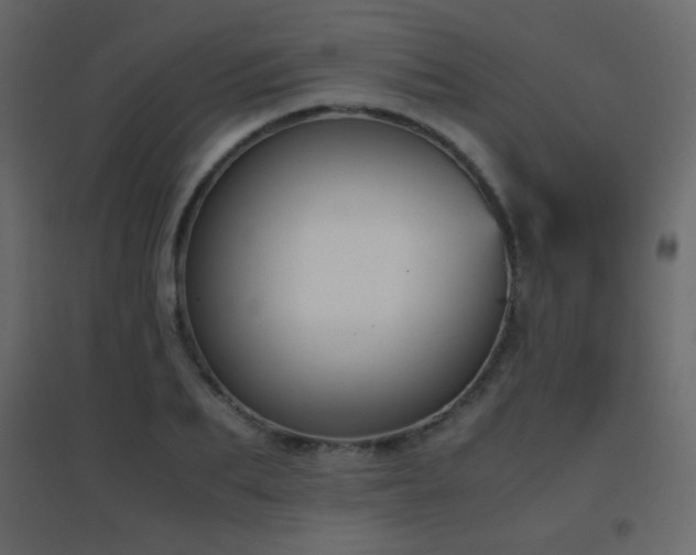 X0000096650887200802051152