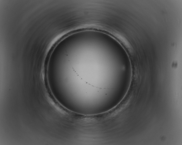 X0000096650888200802051152