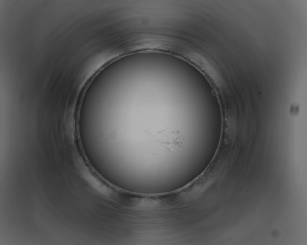 X0000096650890200802051152